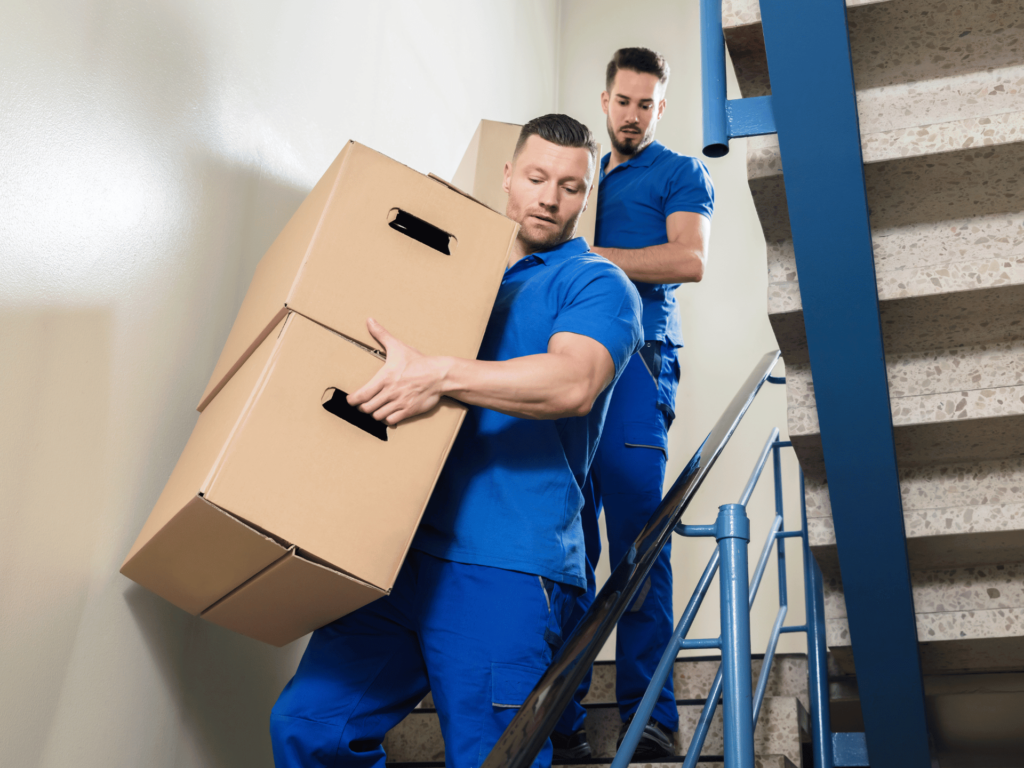Move-in and Move-out Cleaning Service in Tampa, FL